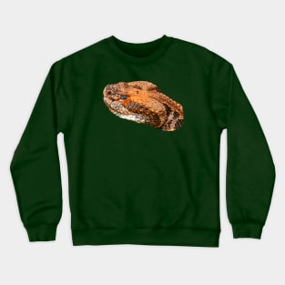 Cane Break Rattlesnake Crewneck Sweatshirt